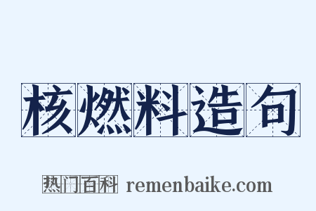 核燃料造句是什么意思的图片